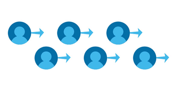 Estrutura Organizacional