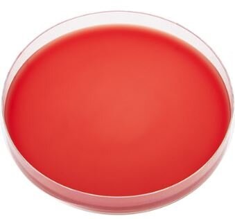Agar Sangue (com 5% de sangue)