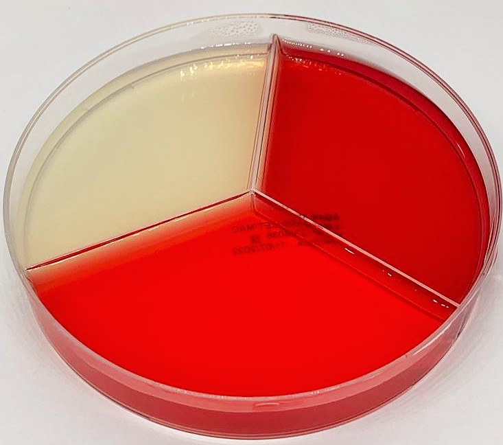 AMS/CET/MAC AGAR - Placa 90x15mm triplate