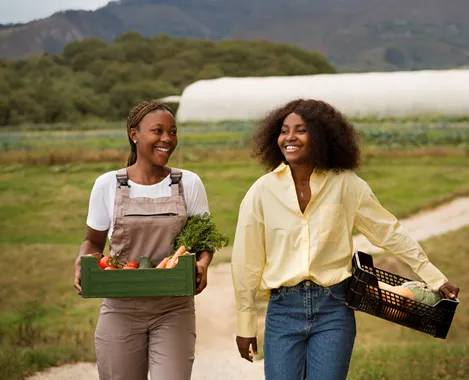 Financiamento Crédito Rural